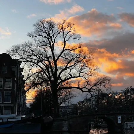 别墅 One Of A Kind Houseboat On The Canal Amstel 阿姆斯特丹